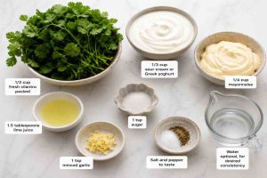 Ingredients for Cilantro Sauce