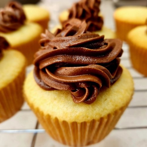 vanilla cupcakes recipe