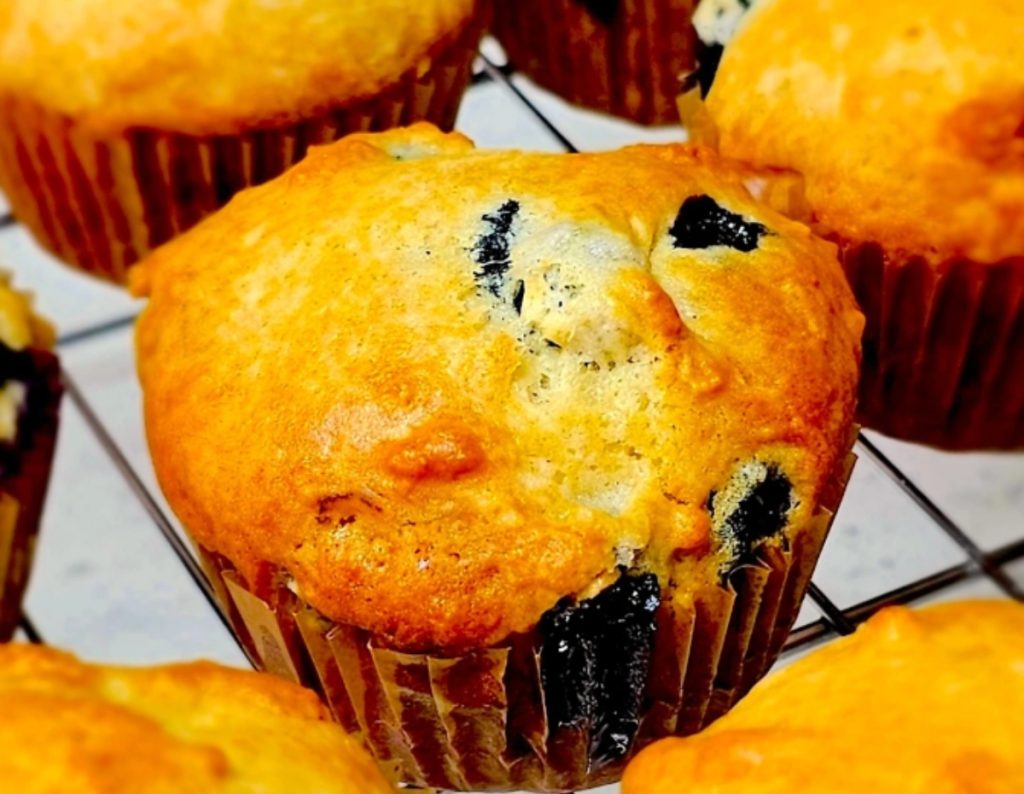 Blueberry Muffins