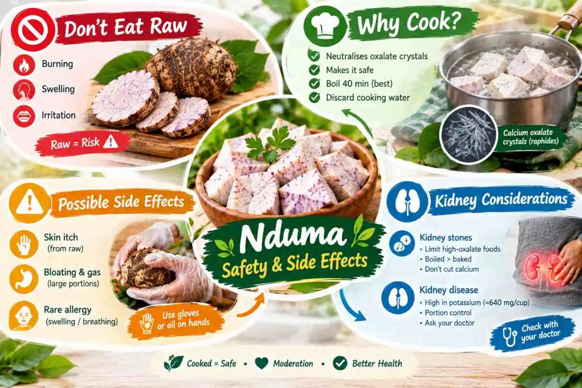 Can You Eat Nduma Raw Safety and Side Effects