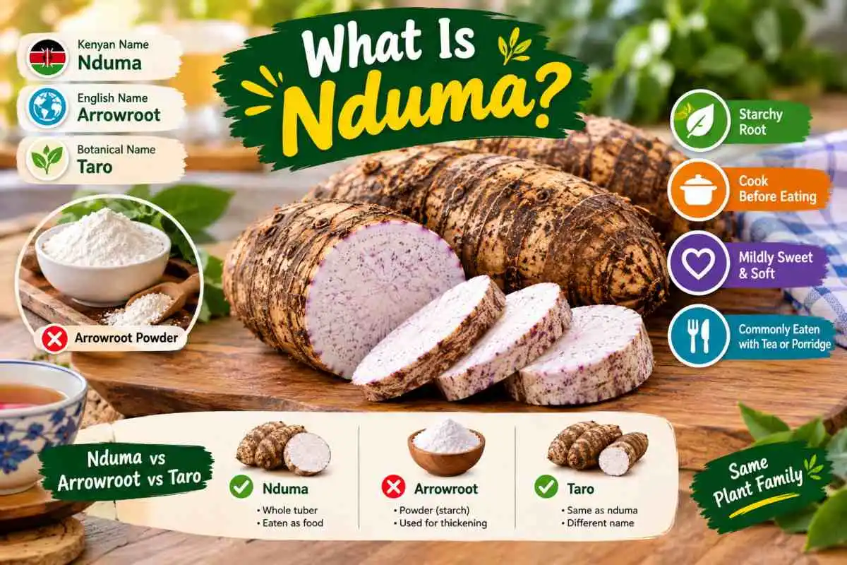 What Is Nduma